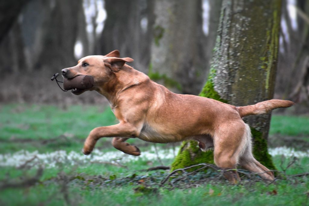 Mariage entre Spirit et Sun